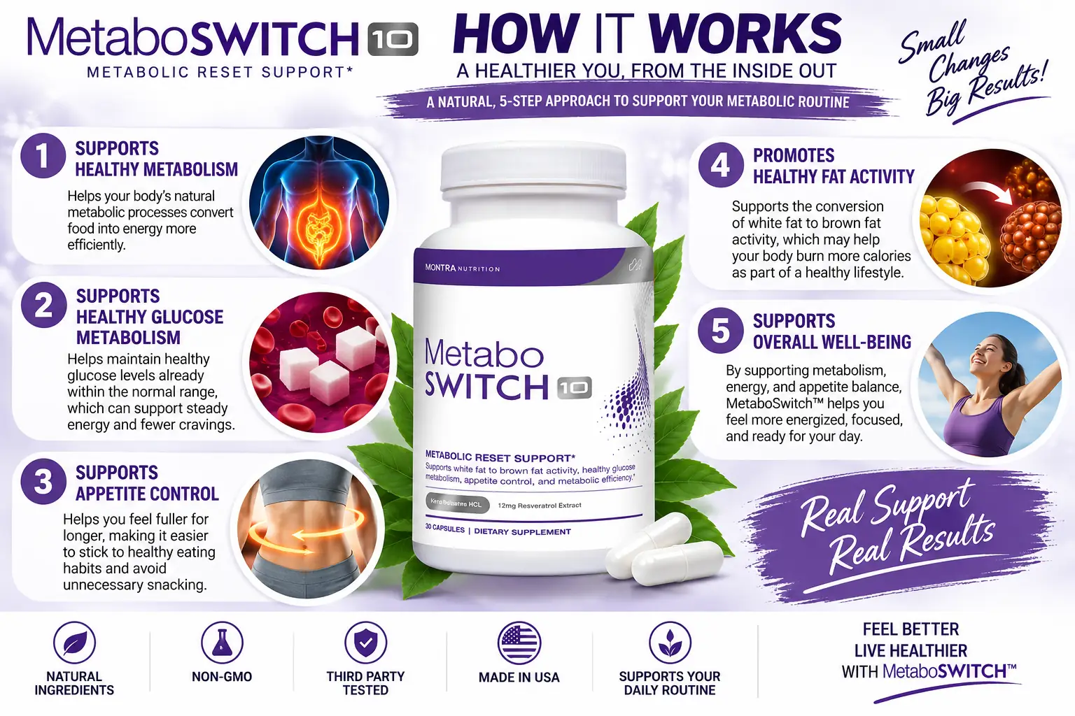 How MetaboSwitch works — metabolism, glucose, appetite, fat activity, well-being